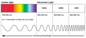 Tại sao bạn phải dùng kem chống nắng HÀNG NGÀY? sunlight