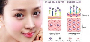 Những độ tuổi nên bổ sung Collagen cho cơ thể - Yêu Hàng Ngoại