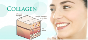 17 công dụng tuyệt vời của Collagen đối với cơ thể - Yêu Hàng Ngoại