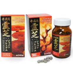 Nấm linh chi sừng Hươu Deer Horn Reishi Nhật Bản
