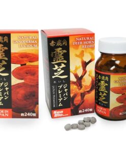 Nấm linh chi sừng Hươu Deer Horn Reishi Nhật Bản
