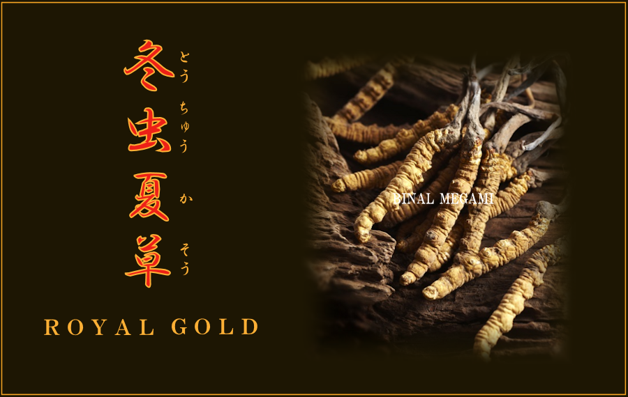 Viên uống đông trùng hạ thảo Tohchukasou Royal Gold 420 viên dong-trung-ha-thao-nhat-ban