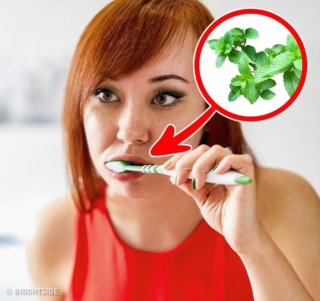 10 mẹo giúp bạn hạn chế thói quen ăn vặt khi đang giảm cân kem-danh-rang-vi-bac-ha