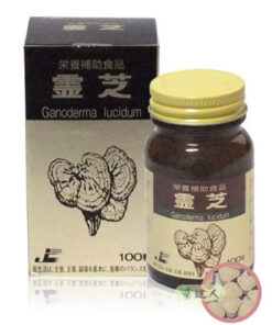 Nấm linh chi Ganoderma lucidum Nhật Bản