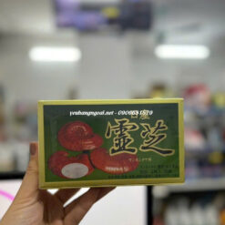 Alternative view of Viên uống Nấm Linh Chi Đỏ cao cấp Nissan Reishi Nhật Bản