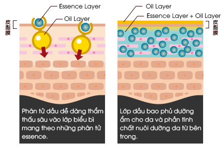 Tinh chất dưỡng da nhau thai Fracora Essence Oil Serum Tinh chất dưỡng da nhau thai Fracora Essence Oil Serum - Yêu Hàng Ngoại