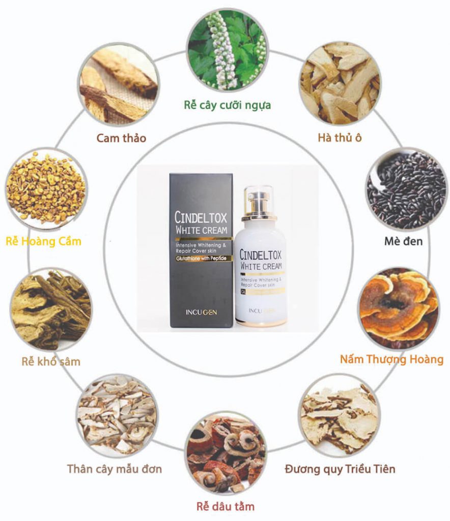 Kem dưỡng trắng da Cindel Tox White Cream Hàn Quốc Kem dưỡng trắng da Cindel Tox White Cream Hàn Quốc - Yêu Hàng Ngoại