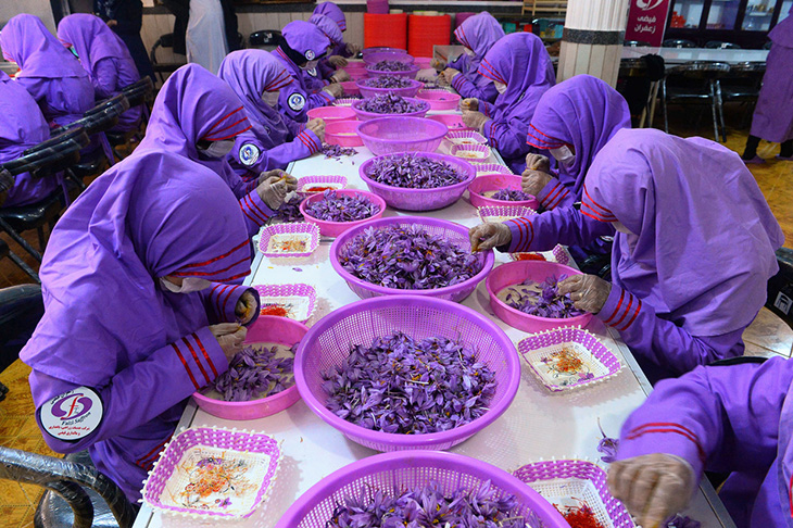 Nhụy hoa nghệ tây (Saffron) là gì? Công dụng & cách dùng Saffron Nhụy hoa nghệ tây (Saffron) là gì? Công dụng & cách dùng Saffron - Yêu Hàng Ngoại