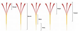 Saffron có mấy loại? Những lợi ích của nhụy hoa nghệ tây - Yêu Hàng Ngoại
