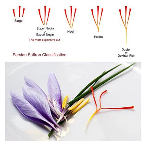Saffron có mấy loại? Những lợi ích của nhụy hoa nghệ tây Saffron có mấy loại? Những lợi ích của nhụy hoa nghệ tây - Yêu Hàng Ngoại