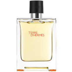 Alternative view of Nước hoa Hermes Terre D'Hermes EDT