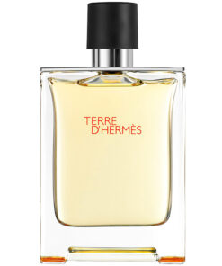 Alternative view of Nước hoa Hermes Terre D'Hermes EDT
