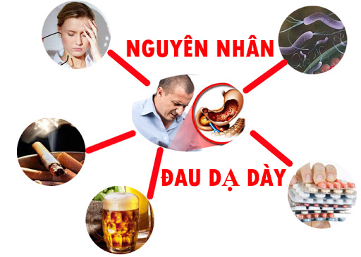 TOP 10+ nguyên nhân khiến bạn bị đau dạ dày TOP 10+ nguyên nhân khiến bạn bị đau dạ dày - Yêu Hàng Ngoại