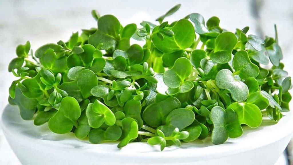 TOP 10+ loại rau củ tốt cho người đau nhức xương khớp TOP 10+ loại rau củ tốt cho người đau nhức xương khớp - Yêu Hàng Ngoại