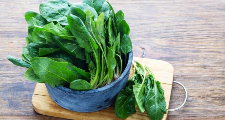 Thực phẩm bổ dưỡng cho mắt khi phải thường xuyên sử dụng máy tính Thực phẩm bổ dưỡng cho mắt khi phải thường xuyên sử dụng máy tính - Yêu Hàng Ngoại