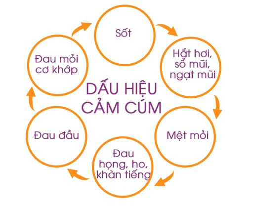 Người bị cảm cúm cần chăm sóc như thế nào để khỏi bệnh? Người bị cảm cúm cần chăm sóc như thế nào để khỏi bệnh? - Yêu Hàng Ngoại