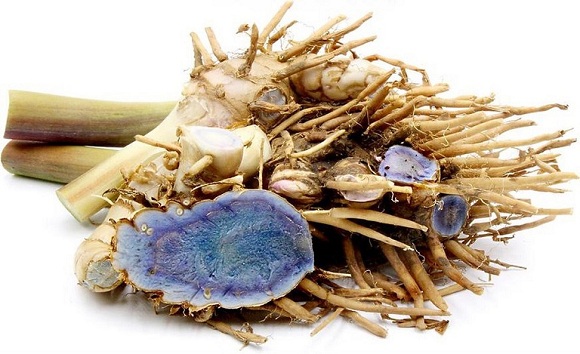 Viên uống nghệ đen Gouriki Black Ginger Nhật Bản Viên uống nghệ đen Gouriki Black Ginger Nhật Bản - Yêu Hàng Ngoại