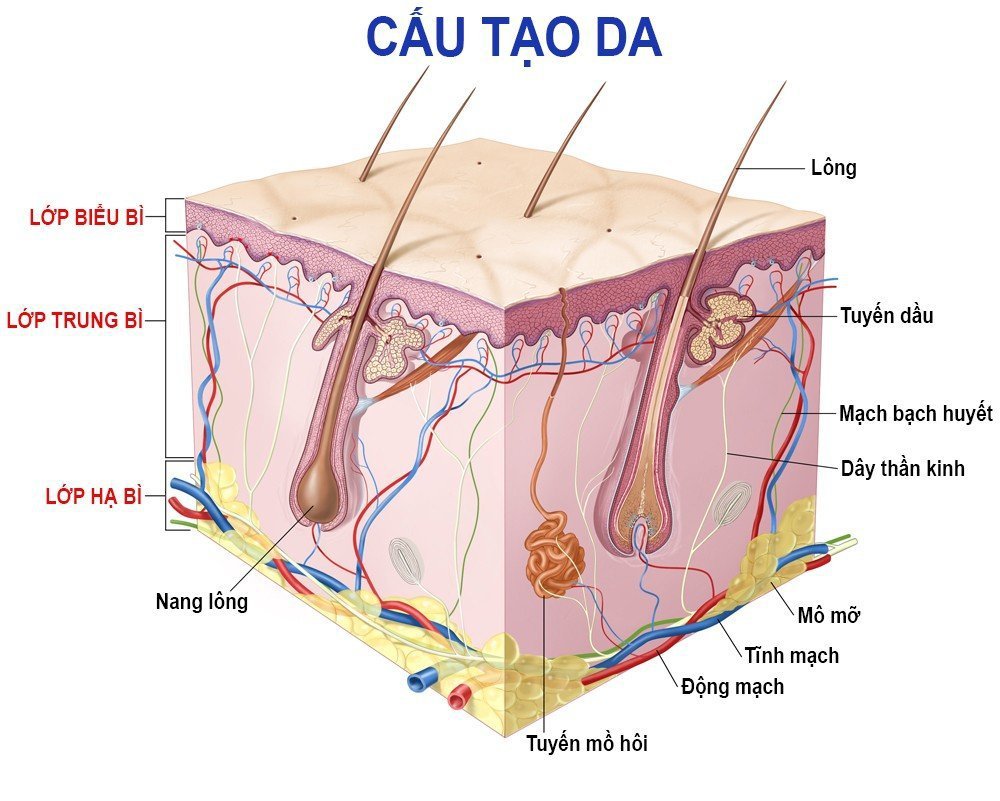 Công dụng của máy rửa mặt là gì? Có nên mua máy rửa mặt hay không? Công dụng của máy rửa mặt là gì? Có nên mua máy rửa mặt hay không? - Yêu Hàng Ngoại