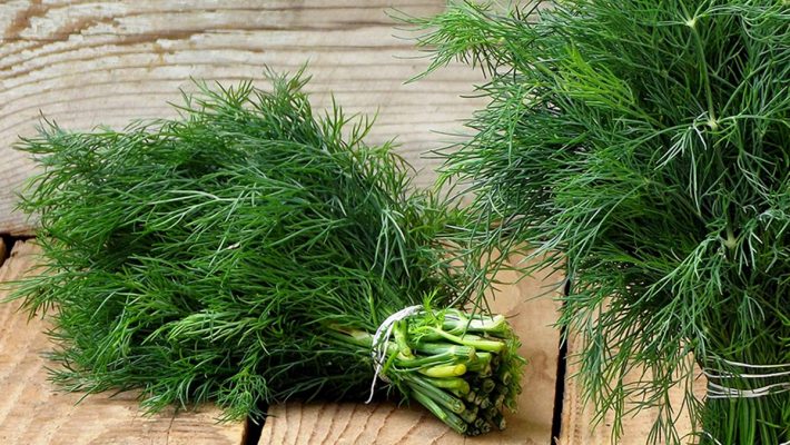 Người đau dạ dày nên ăn uống gì? Cách làm giảm đau dạ dày hiệu quả? Người đau dạ dày nên ăn uống gì? Cách làm giảm đau dạ dày hiệu quả? - Yêu Hàng Ngoại