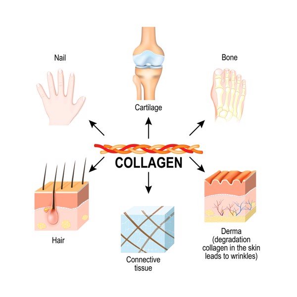 Nam giới có nên uống collagen? Cách bổ sung collagen cho nam Nam giới có nên uống collagen? Cách bổ sung collagen cho nam - Yêu Hàng Ngoại