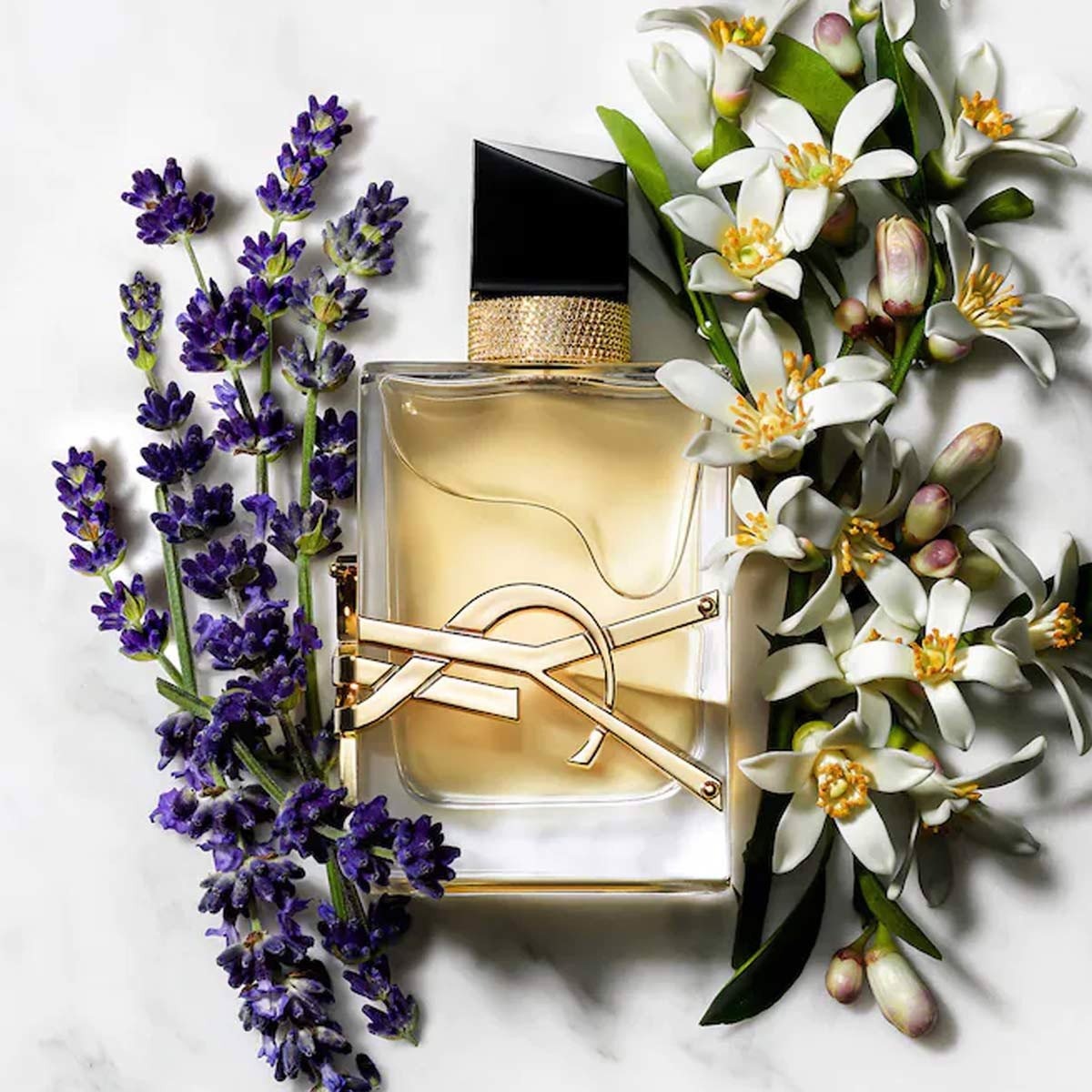 Nước hoa YSL Yves Saint Laurent Libre EDP Nước hoa YSL Yves Saint Laurent Libre EDP - Yêu Hàng Ngoại