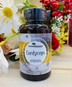 Viên uống Đông trùng hạ thảo Aloha Medicals Cordyceps 525 mg