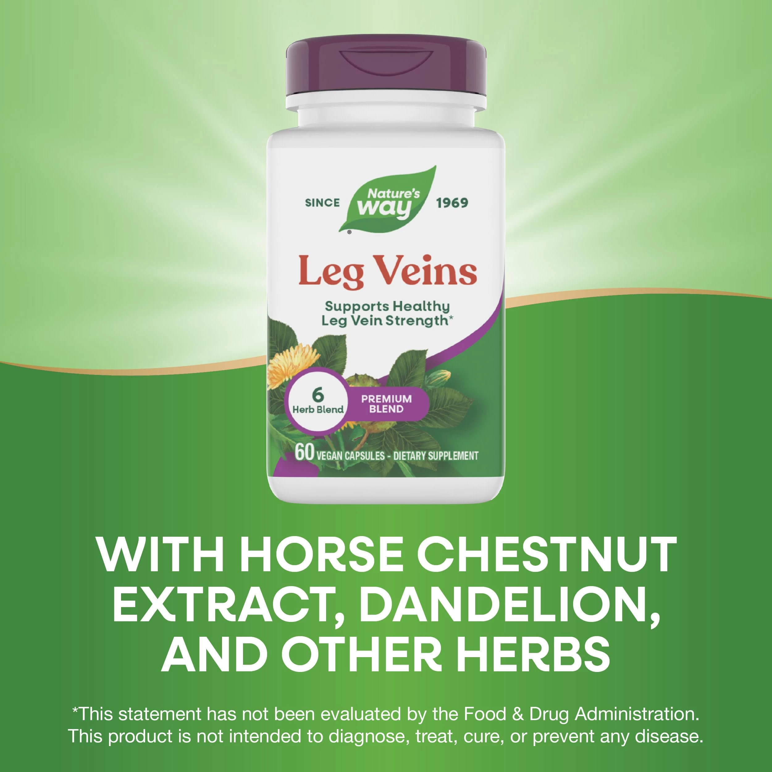 Viên Uống Hỗ Trợ Tĩnh Mạch Chân Nature's Way Leg Veins Mỹ Viên Uống Hỗ Trợ Tĩnh Mạch Chân Nature's Way Leg Veins Mỹ - Yêu Hàng Ngoại