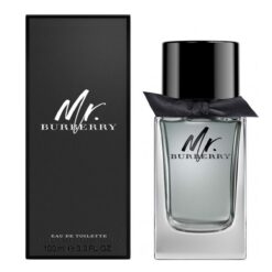 Nước Hoa Mr. Burberry for Men EDT