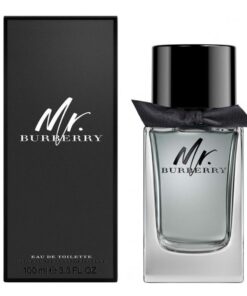 Nước Hoa Mr. Burberry for Men EDT