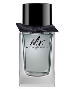 Alternative view of Nước Hoa Mr. Burberry for Men EDT