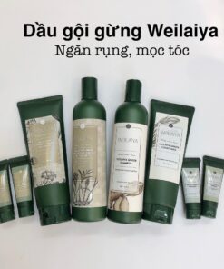 Bộ dầu gội tinh chất gừng tươi Weilaiya