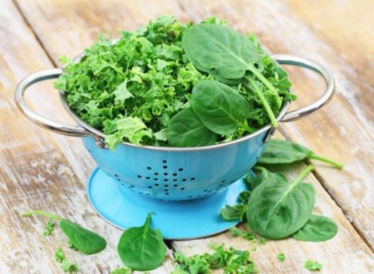 Top 5 loại rau xanh tốt nhất để giảm mỡ bụng và chống lão hóa - Yêu Hàng Ngoại