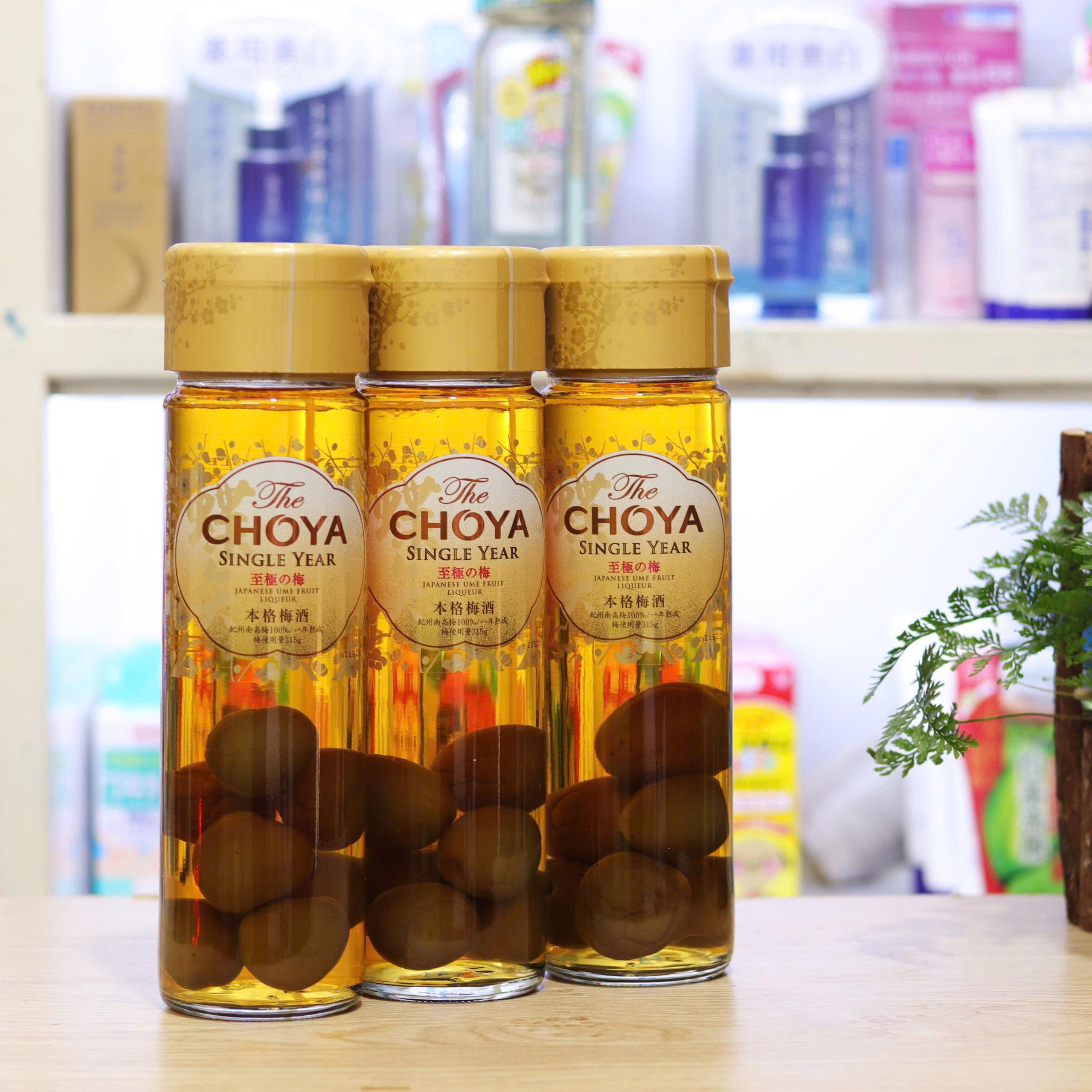 Rượu Mơ The Choya Single Year Nhật Bản – Có Mơ Nguyên Trái Rượu Mơ The Choya Single Year Nhật Bản – Có Mơ Nguyên Trái - Yêu Hàng Ngoại