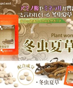 Viên uống Đông trùng hạ thảo Ogaland Nhật Bản Viên uống Đông trùng hạ thảo Ogaland Nhật Bản - Yêu Hàng Ngoại