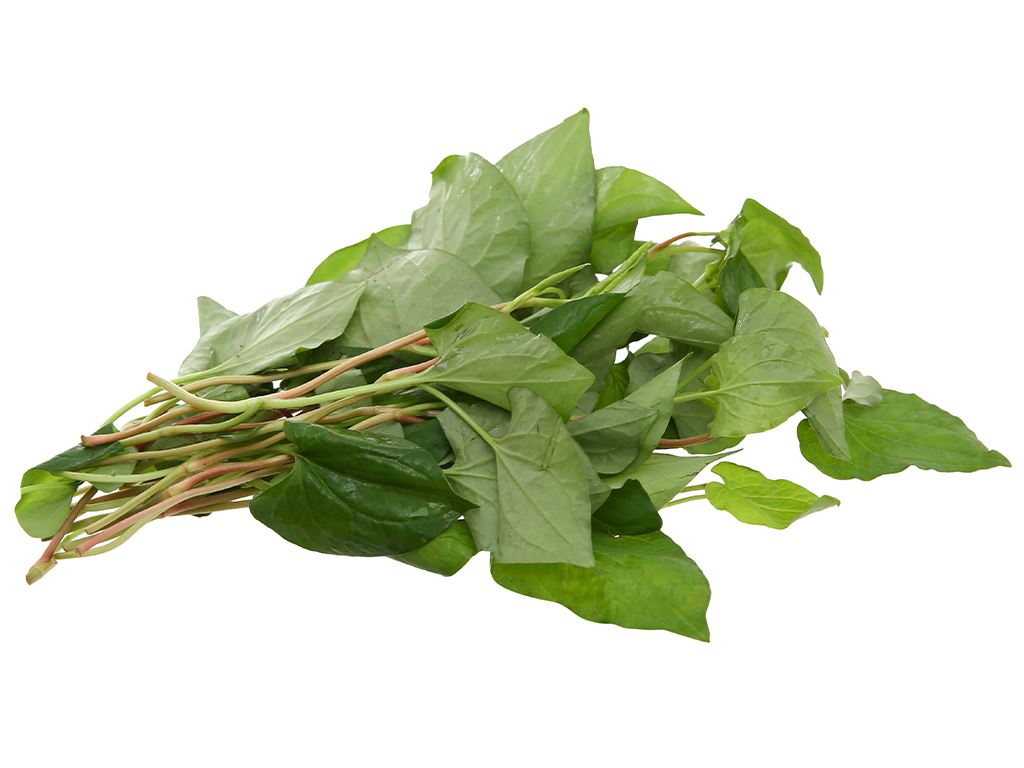 Ăn rau diếp cá có tác dụng gì? Những lợi ích của lá diếp cá đối với sức khỏe Ăn rau diếp cá có tác dụng gì? Những lợi ích của lá diếp cá đối với sức khỏe - Yêu Hàng Ngoại