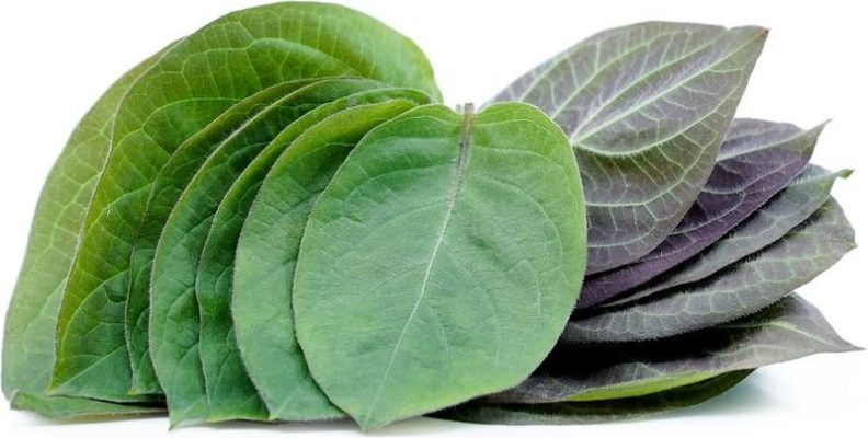 Hai vị thuốc dân gian giúp chữa táo bón hiệu quả - Yêu Hàng Ngoại