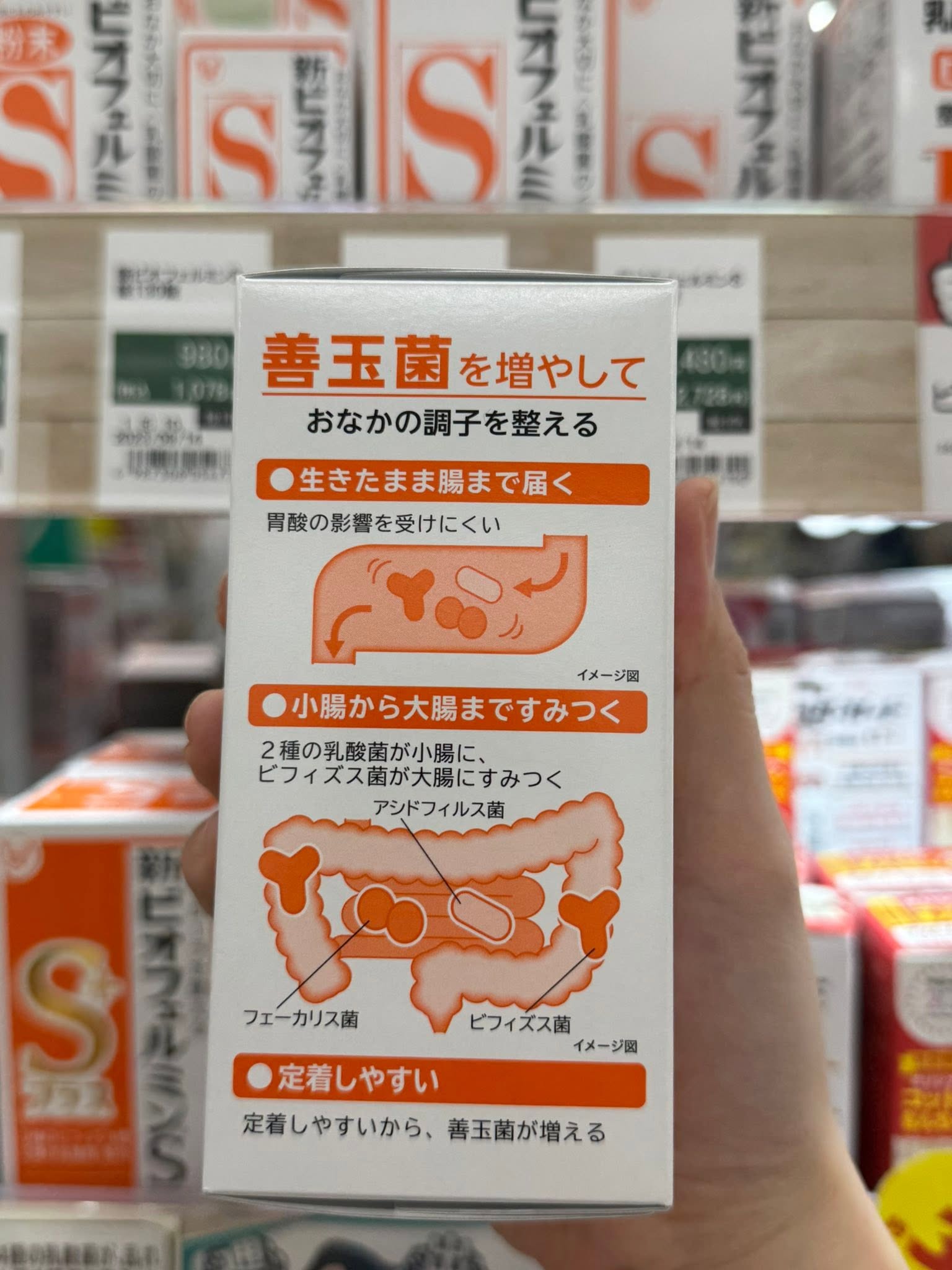 Viên Uống Men Vi Sinh Hỗ Trợ Tiêu Hóa & Đường Ruột Shin Biofermin S – Lọ 540 Viên (Nhật Bản) Viên Uống Men Vi Sinh Hỗ Trợ Tiêu Hóa & Đường Ruột Shin Biofermin S – Lọ 540 Viên (Nhật Bản) - Yêu Hàng Ngoại
