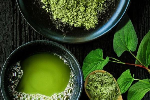 Ăn rau diếp cá có tác dụng gì? Những lợi ích của lá diếp cá đối với sức khỏe Ăn rau diếp cá có tác dụng gì? Những lợi ích của lá diếp cá đối với sức khỏe - Yêu Hàng Ngoại