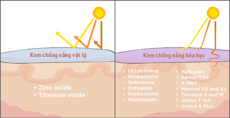 Ưu, nhược điểm của kem chống nắng vật lý và kem chống nắng hóa học Ưu, nhược điểm của kem chống nắng vật lý và kem chống nắng hóa học - Yêu Hàng Ngoại