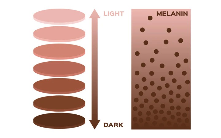 Sắc tố melanin là gì? Cách để tăng hắc tố trong cơ thể Sắc tố melanin là gì? Cách để tăng hắc tố trong cơ thể - Yêu Hàng Ngoại
