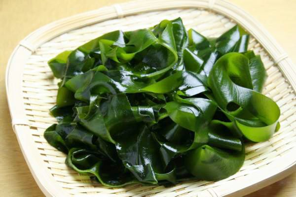 Tảo biển là gì? Những công dụng của tảo biển đối với sức khoẻ Tảo biển là gì? Những công dụng của tảo biển đối với sức khoẻ - Yêu Hàng Ngoại