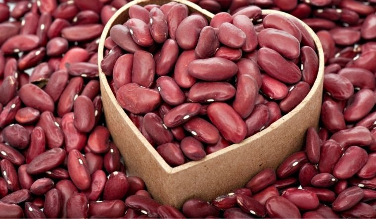 TOP 10 thực phẩm giàu kali tốt cho hệ thần kinh TOP 10 thực phẩm giàu kali tốt cho hệ thần kinh - Yêu Hàng Ngoại