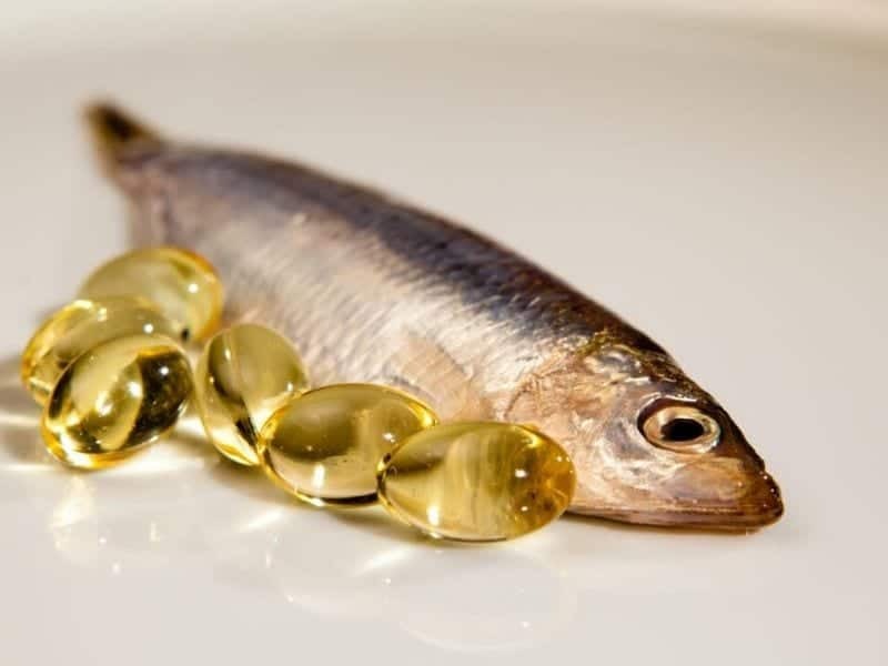 Axit béo Omega-3 là gì? Uống omega 3 có những tác dụng gì? Axit béo Omega-3 là gì? Uống omega 3 có những tác dụng gì? - Yêu Hàng Ngoại