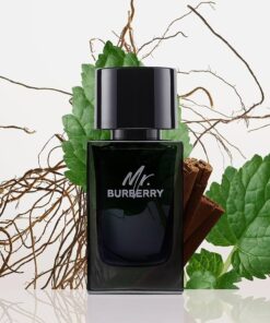 Nước hoa Burberry Mr. Burberry EDP Nước hoa Burberry Mr. Burberry EDP - Yêu Hàng Ngoại