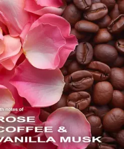 Nước hoa Montale Intense Cafe EDP Nước hoa Montale Intense Cafe EDP - Yêu Hàng Ngoại