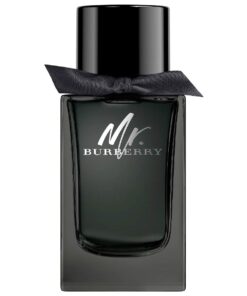 Alternative view of Nước hoa Burberry Mr. Burberry EDP