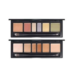 Bảng che khuyết điểm Jung Saem Mool Artist Concealer Palette