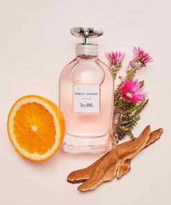 Nước hoa Coach Dreams EDP Nước hoa Coach Dreams EDP - Yêu Hàng Ngoại