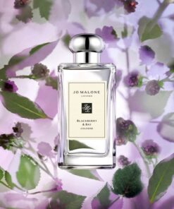 Nước hoa Jo Malone London Blackberry & Bay Cologne Nước hoa Jo Malone London Blackberry & Bay Cologne - Yêu Hàng Ngoại