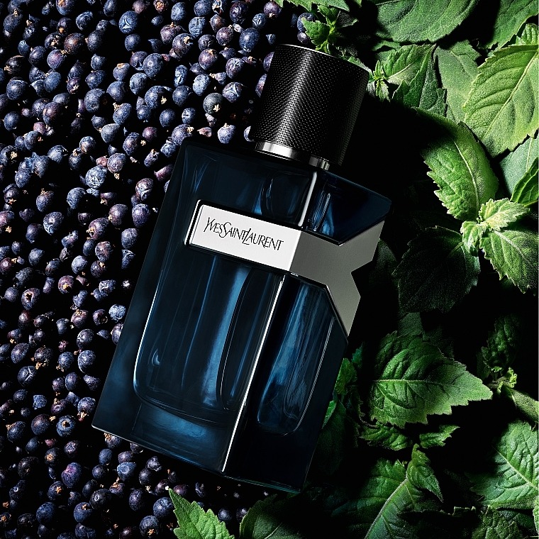 Nước hoa YSL Yves Saint Laurent Y EDP Intense Nước hoa YSL Yves Saint Laurent Y EDP Intense - Yêu Hàng Ngoại